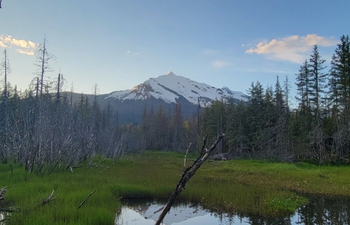 juneau alaska campground view of marsh and mountains