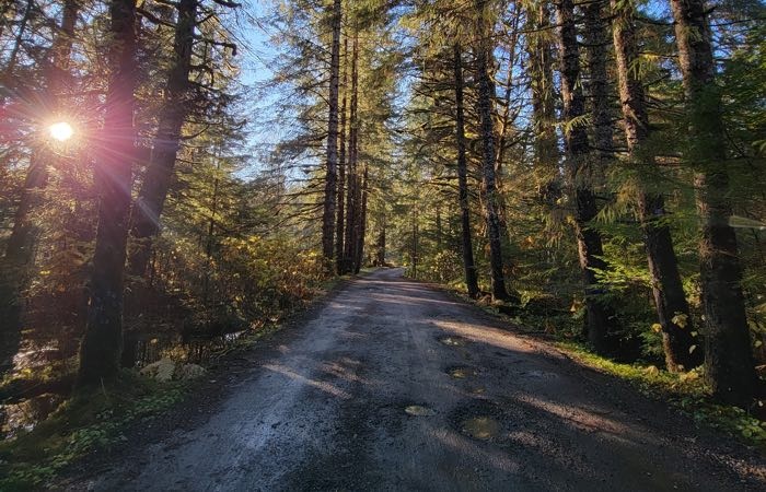 ernest gruening trail in juneau alaska