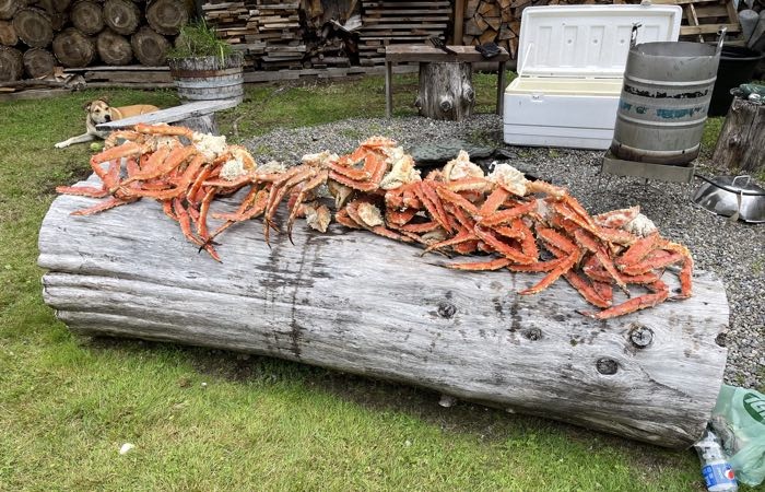 JUNEAU KING CRAB ON LOG