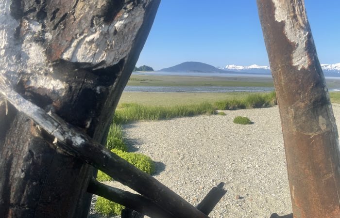 view through a pair of driftwood overlooking eagle beach juneau alaska