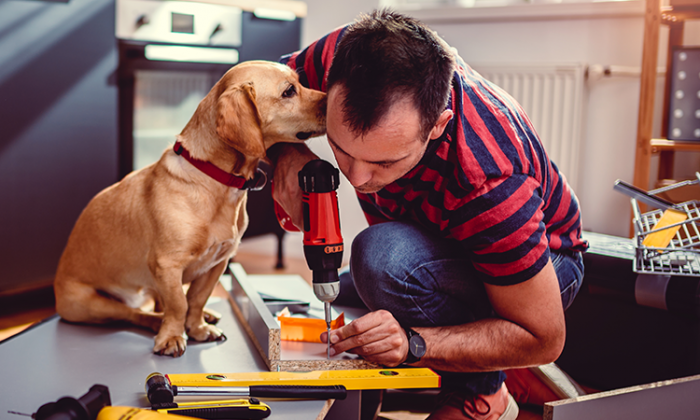 MAN DOING KITCHEN REMODELING WITH DOG HELPING