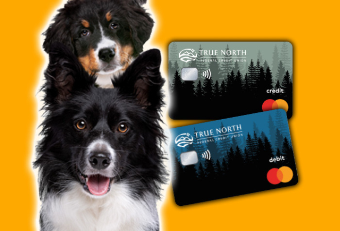 TWO CUTE DOGS STACKED ON TOP OF EACH OTHER WITH VISUAL SAMPLES OF THE NEW DEBIT AND CREDIT CARDS