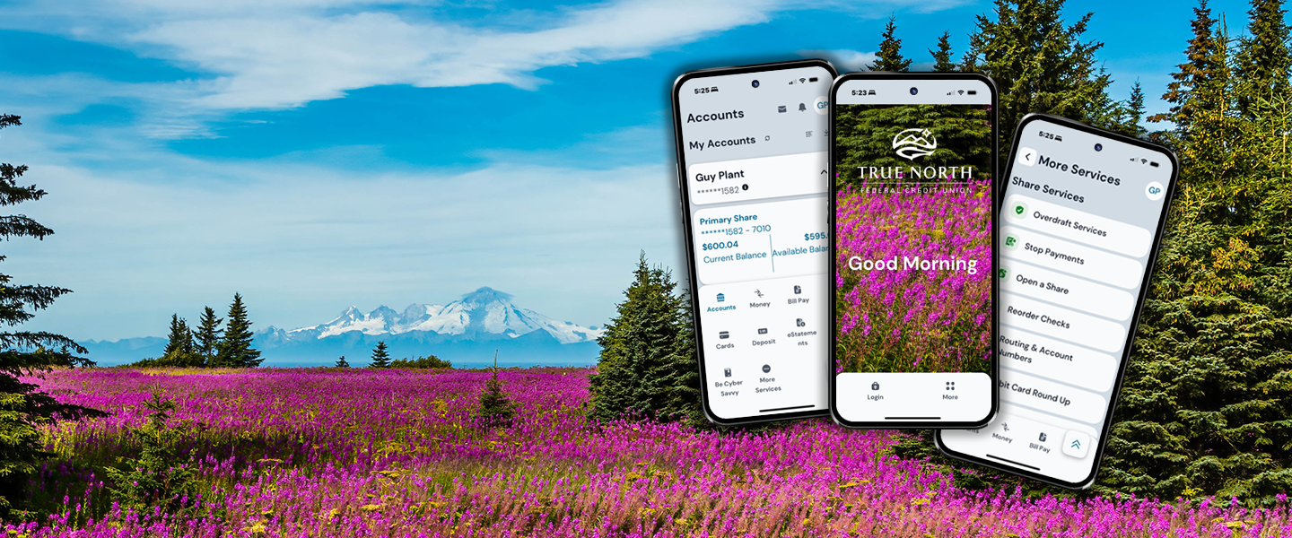 TRUE NORTH FEDERAL CREDIT UNION EBANKING DIGITAL BANKING ONLINE BANKING