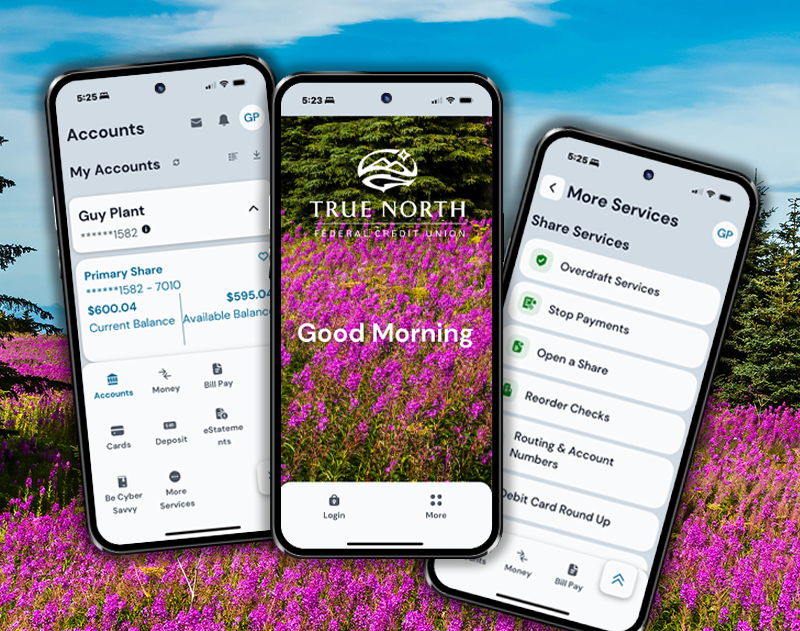 TRUE NORTH FEDERAL CREDIT UNION EBANKING DIGITAL BANKING ONLINE BANKING