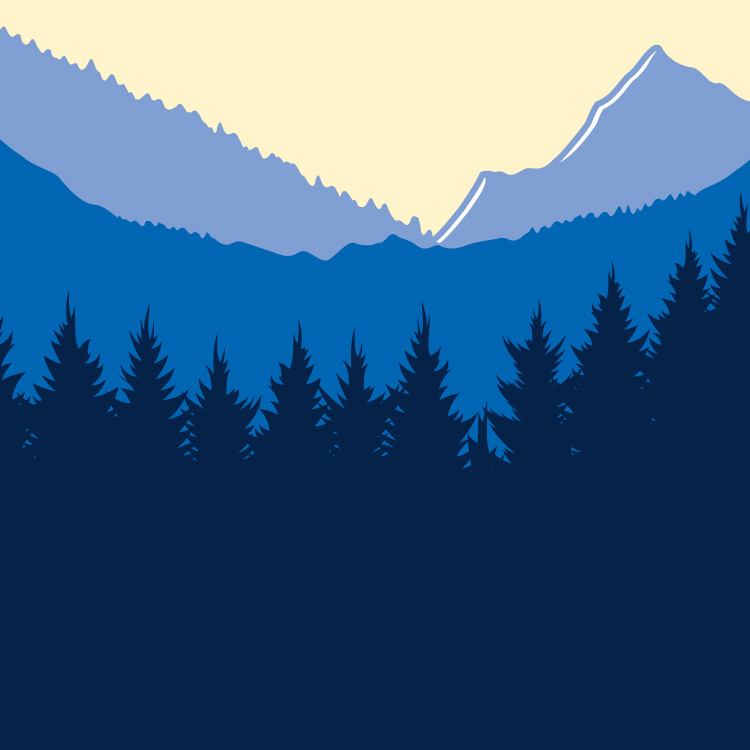 TRUE NORTH FEDERAL CREDIT UNION SKIP A PAY SKIP LOAN PAYMENTS