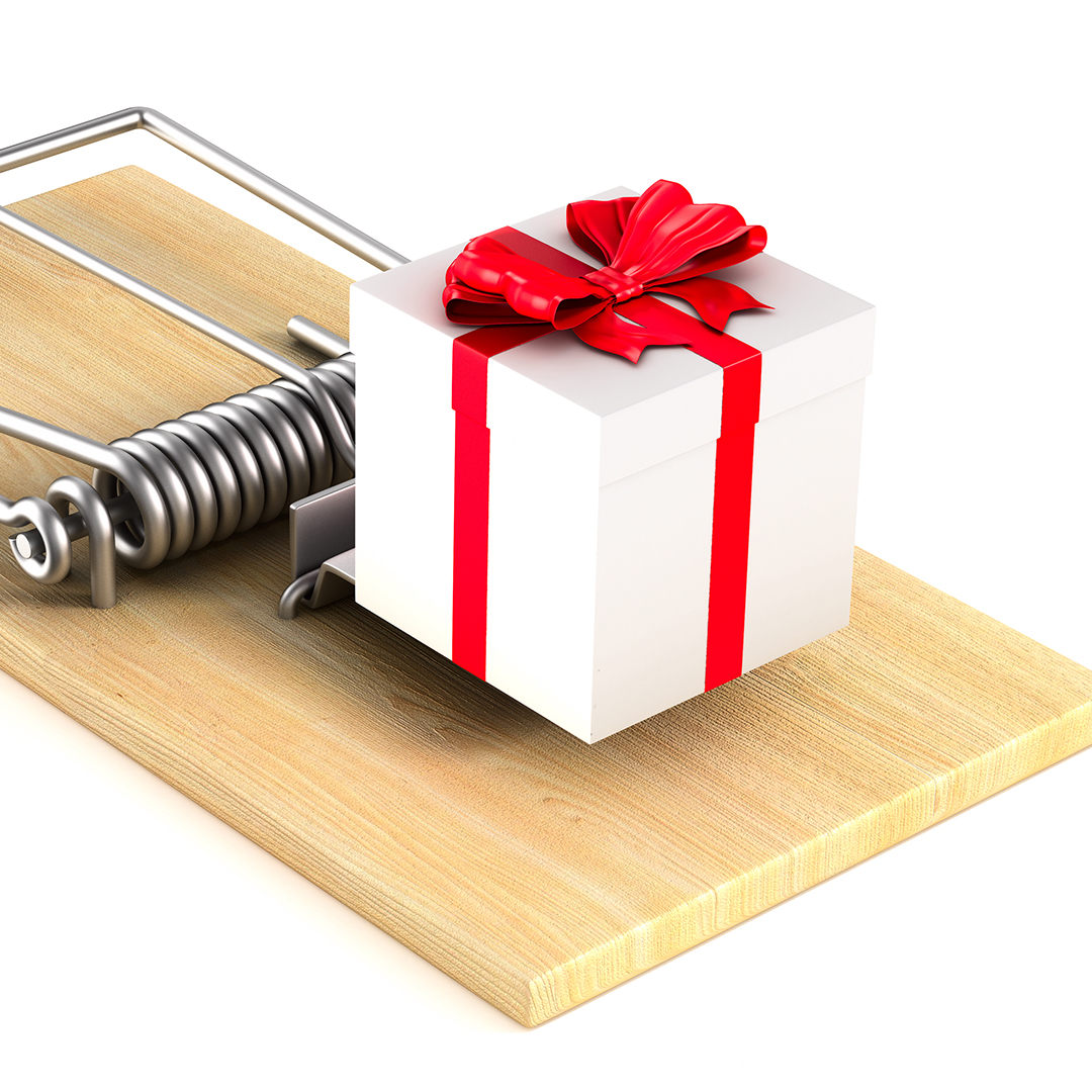 TRUE NORTH FEDERAL CREDIT UNION MEMBERSHIP MATTERS BLOG HOLIDAY FRAUD SCAM SCAMS