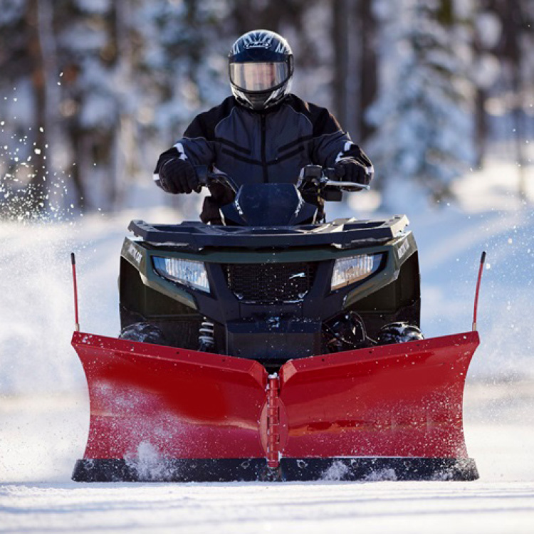 TRUE NORTH FEDERAL CREDIT UNION TOY LOANS