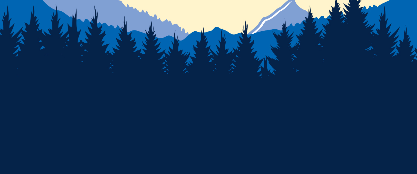 TRUE NORTH FEDERAL CREDIT UNION SKIP A PAY SKIP LOAN PAYMENTS
