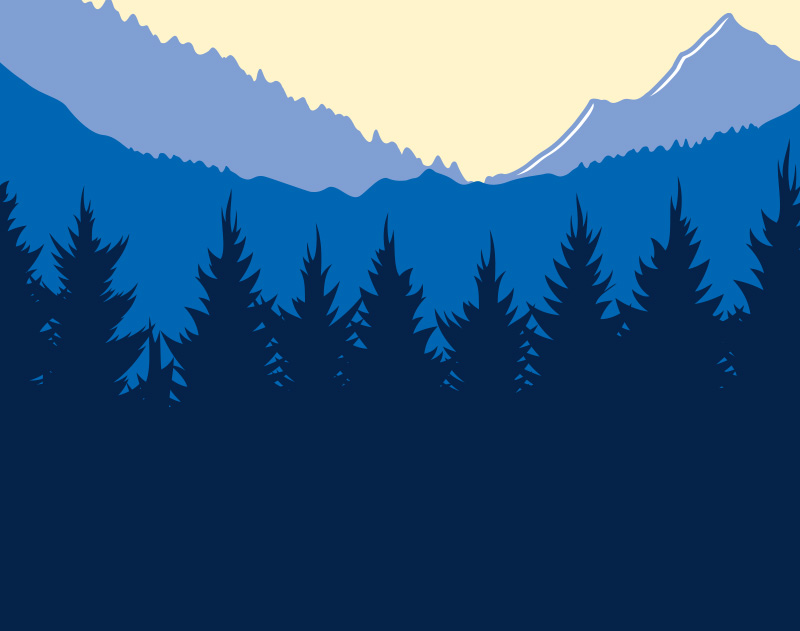TRUE NORTH FEDERAL CREDIT UNION SKIP A PAY SKIP LOAN PAYMENTS