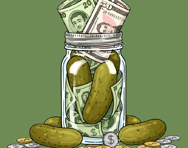 TRUE NORTH FEDERAL CREDIT UNION CREDIT CARD FIXED RATE LOW RATE NO FEES