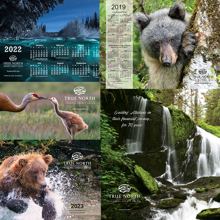 TRUE NORTH FEDERAL CREDIT UNION CALENDAR PHOTO CONTEST