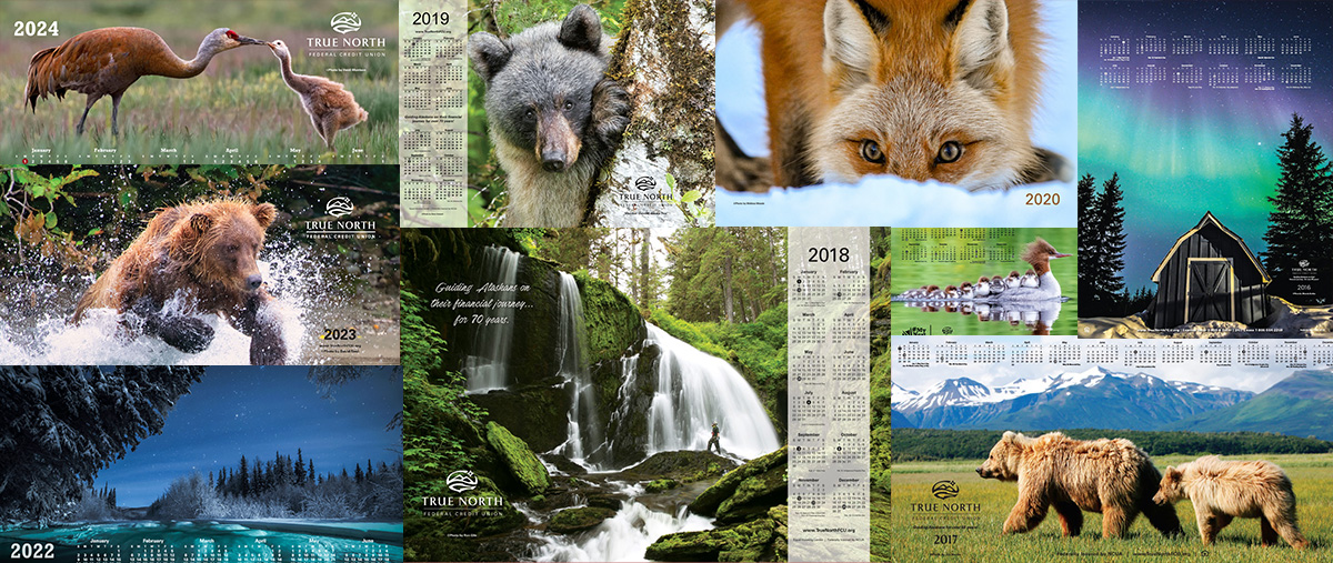 TRUE NORTH FEDERAL CREDIT UNION PHOTO CONTEST