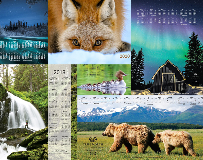TRUE NORTH FEDERAL CREDIT UNION PHOTO CONTEST