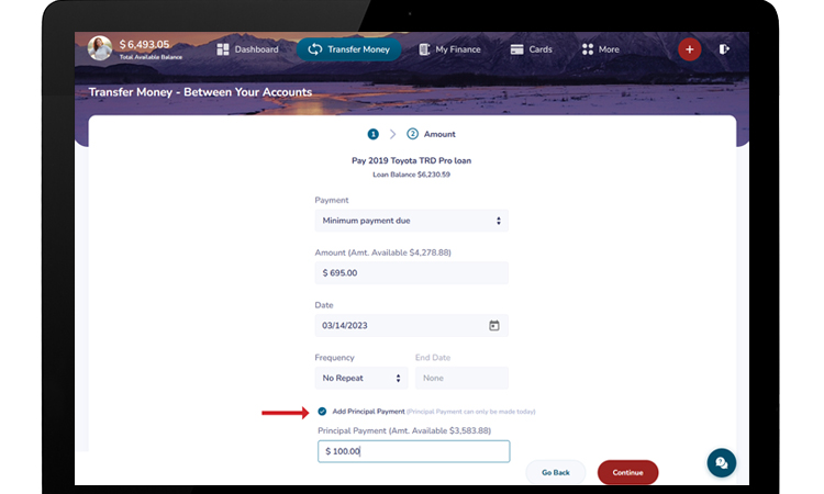desktop view of loan payment screen with payment principal option available