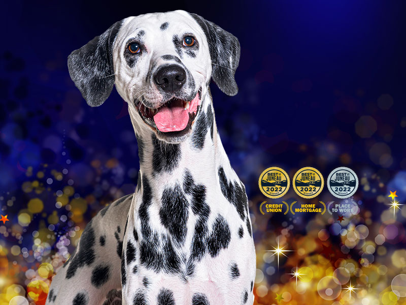 SMILING DALMATION DOG WITH BLUE AND GOLD GLITTER BACKGROUND AND BEST OF JUNEAU MEDALS FOR CREDIT UNION MORTGAGE AND PLACE TO WORK