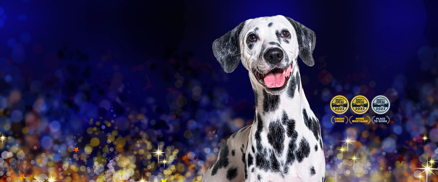 SMILING DALMATION DOG WITH BLUE AND GOLD GLITTER BACKGROUND AND BEST OF JUNEAU MEDALS FOR CREDIT UNION MORTGAGE AND PLACE TO WORK